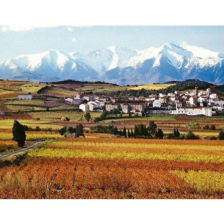 Entre Mer Et Montagne Montner Kültér fotó